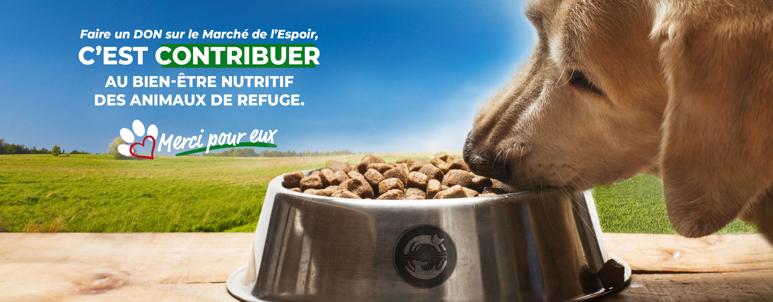 Les associations animaux ont besoin de votre aide