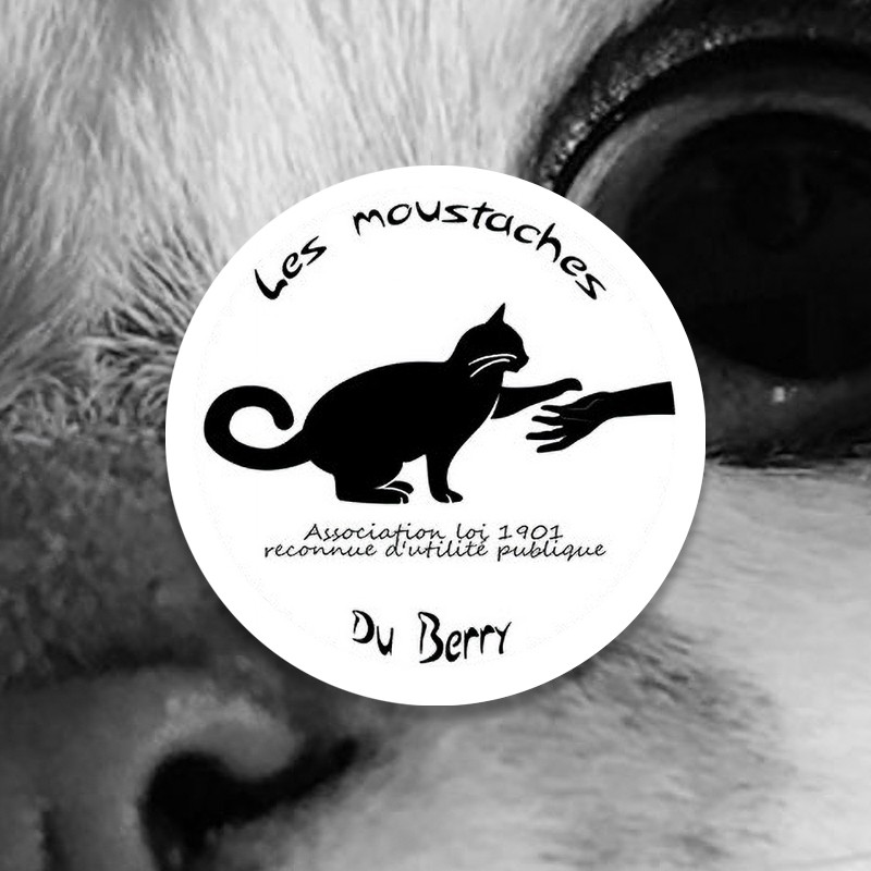 Les Moustaches du Berry - 18