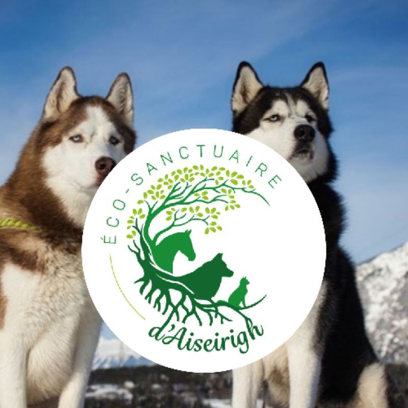 Eco-Sanctuaire d'Aiseirigh - 23