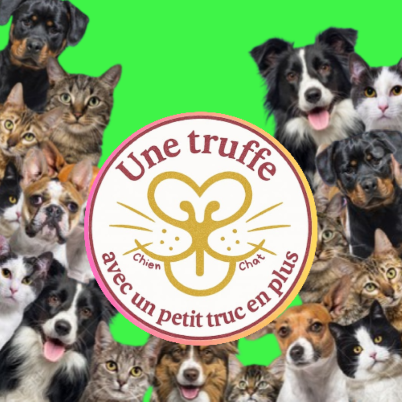 Une truffe avec un petit truc en plus - 76